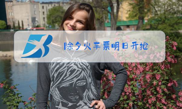 除夕火车票明日开抢 app图片